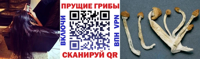 Галлюциногенные грибы ЛСД  Юрьевец 